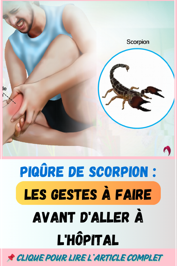 Piqûre de scorpion