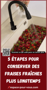 5 Étapes pour conserver des fraises fraîches plus longtemps
