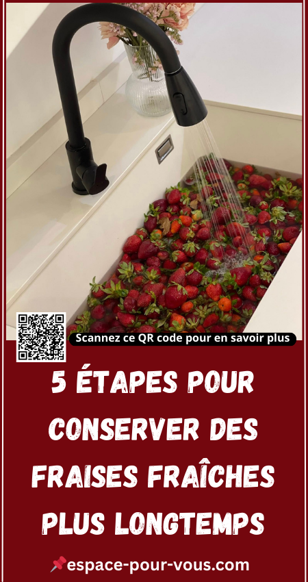 5 Étapes pour conserver des fraises fraîches plus longtemps