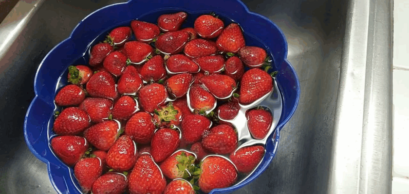 5 Étapes pour conserver des fraises fraîches plus longtemps