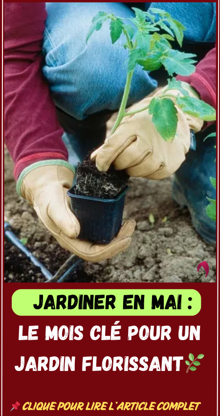 Jardin en Mai