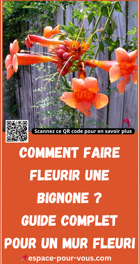 Comment faire fleurir une bignone 