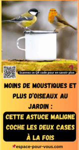 Moins de moustiques et plus d’oiseaux au jardin