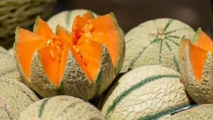Comment Choisir un Melon Parfait ?