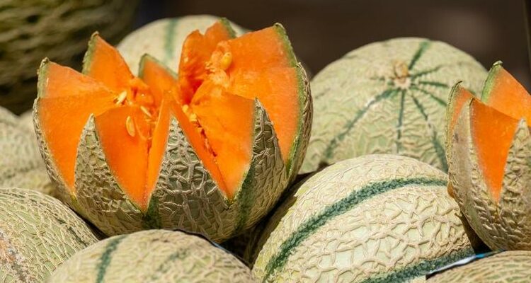 Comment Choisir un Melon Parfait ?