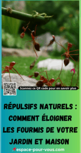 Éloigner les Fourmis de Votre Jardin et Maison