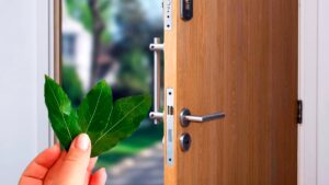 L’astuce du laurier derrière votre porte d’entrée