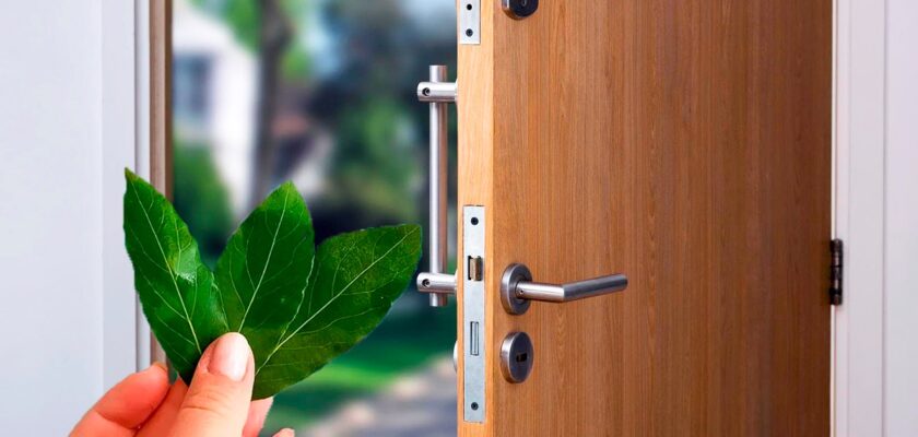 L’astuce du laurier derrière votre porte d’entrée