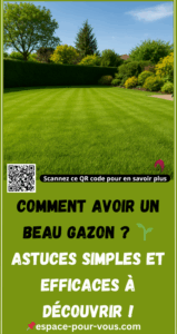  Les secrets d’une pelouse verte et dense