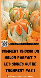 Comment Choisir un Melon Parfait ?