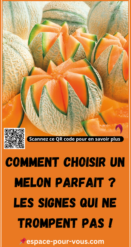Comment Choisir un Melon Parfait ?