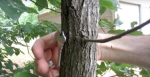 Comment cacher votre double de clés à l’extérieur de la maison 