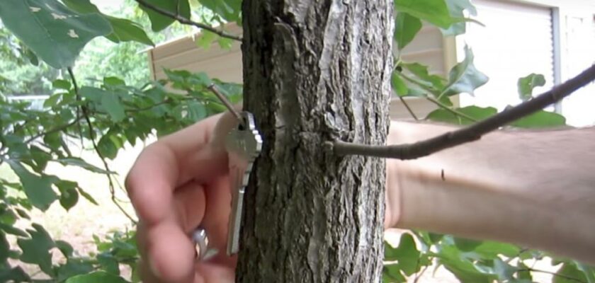 Comment cacher votre double de clés à l’extérieur de la maison