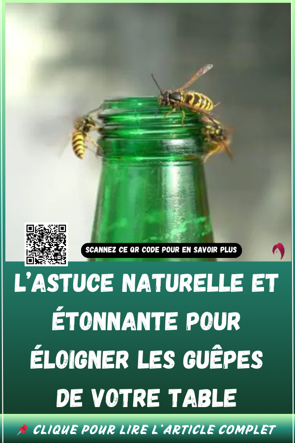 Éloigner les Guêpes de Votre Table