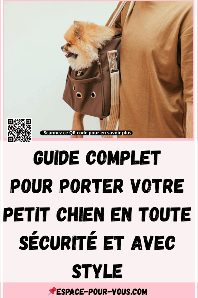 Comment porter votre chien