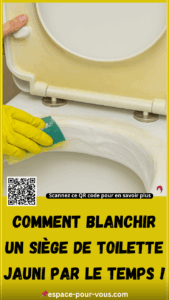 blanchir un siège de toilette jauni