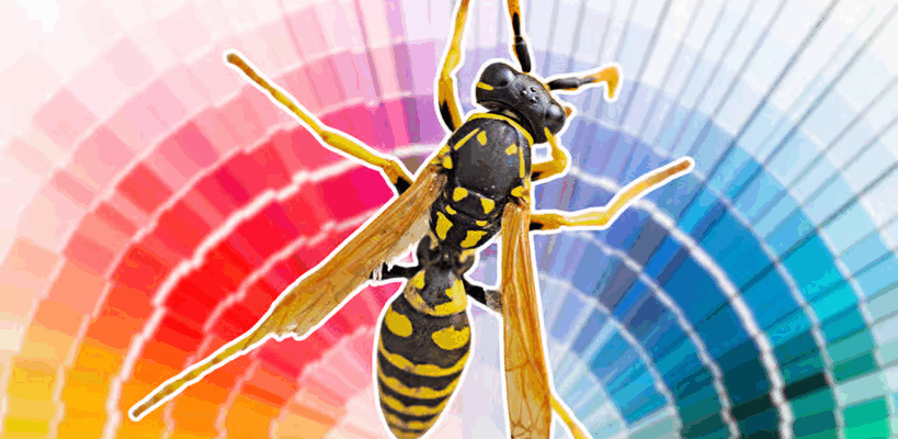 couleurs attirent ou repoussent les guêpes