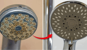Déboucher Facilement Votre Pomme de Douche et Booster la Pression