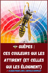 couleurs attirent ou repoussent les guêpes