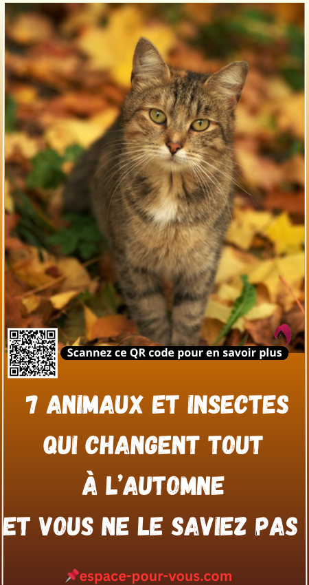 7 Animaux et Insectes Qui Changent Tout à l’Automne