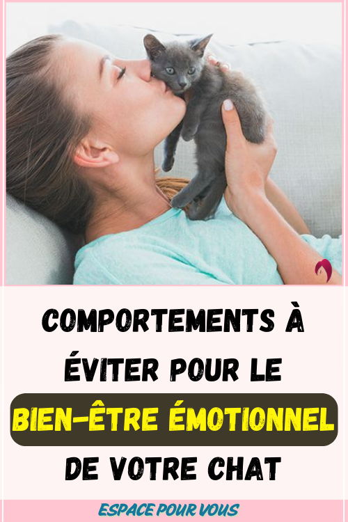 Comportements à éviter pour le bien-être émotionnel de votre chat