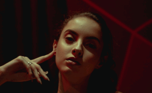 Perverse Narcissique