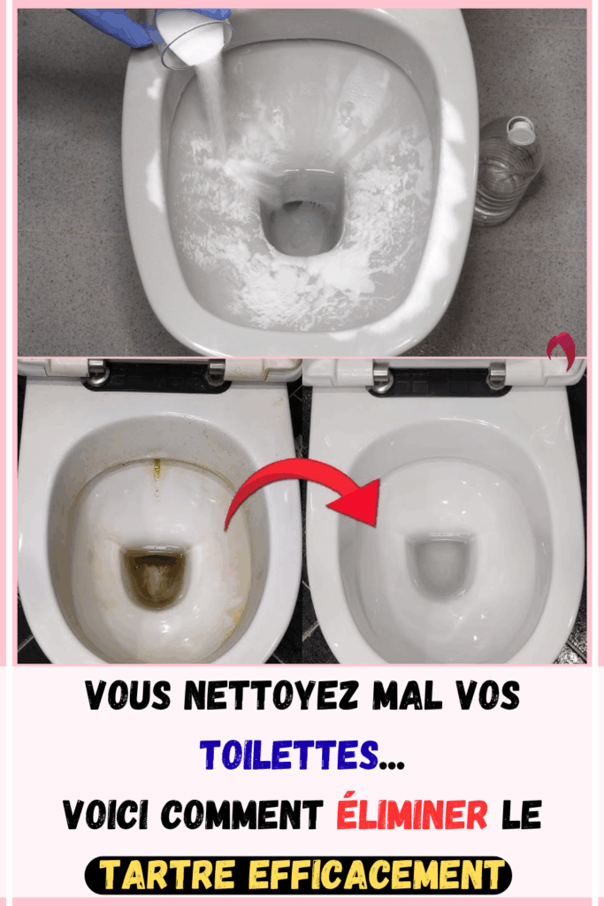 éliminer le tartre de toilette efficacement