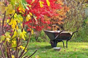 Comment préparer votre jardin pour l’automne ?