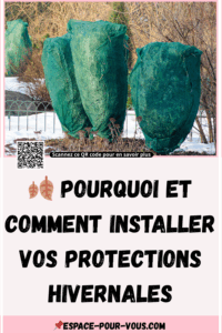 protections hivernales plantes