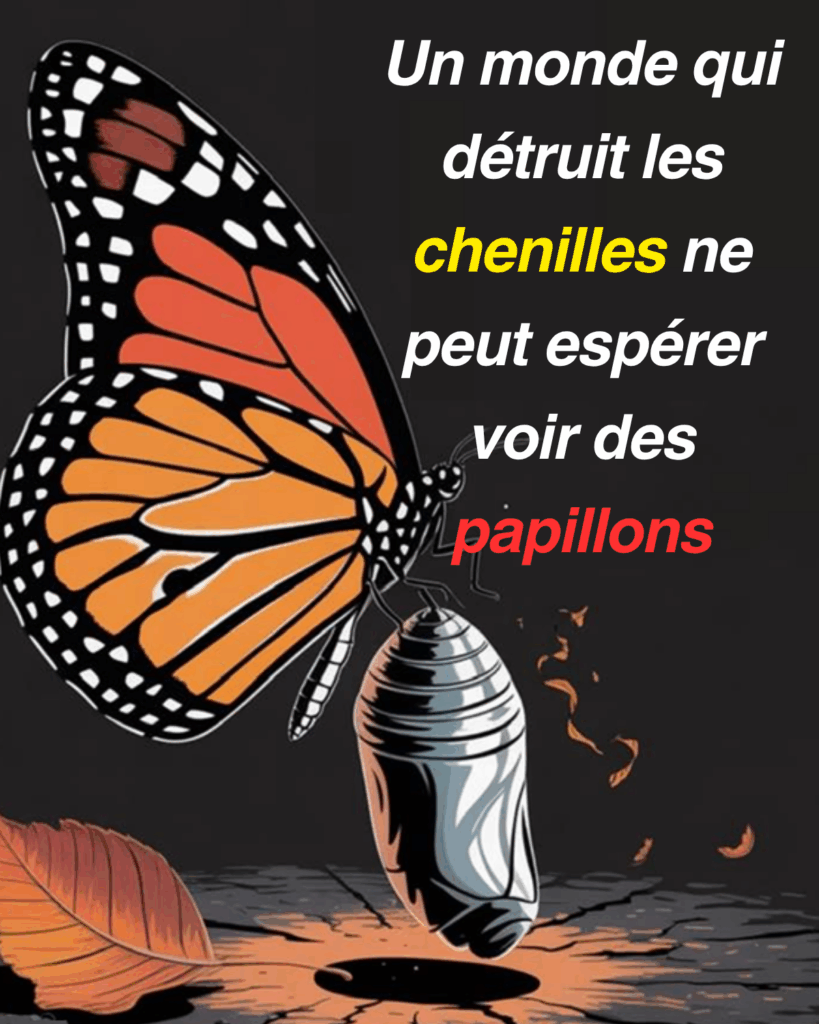 Pas de chenilles = pas de papillons