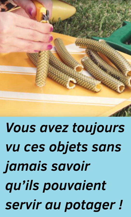 Créez un Potager Ingénieux avec de Simples Objets de Récupération