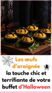 Les œufs d’araignée