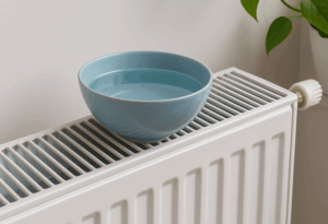 Pourquoi mettre un bol d’eau sur le radiateur