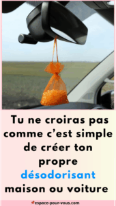 désodorisant maison ou voiture
