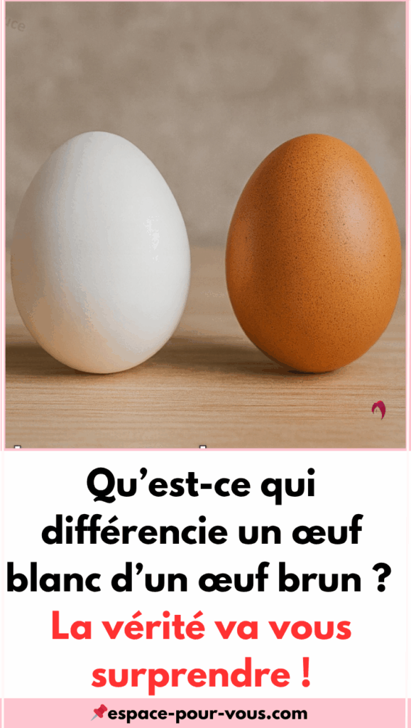 la différence entre un œuf blanc et un œuf brun