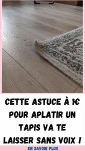 aplatir coin de tapis qui rebique
