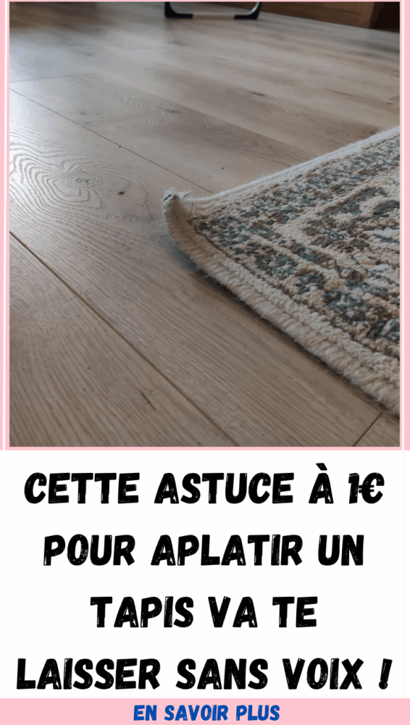  aplatir coin de tapis qui rebique 