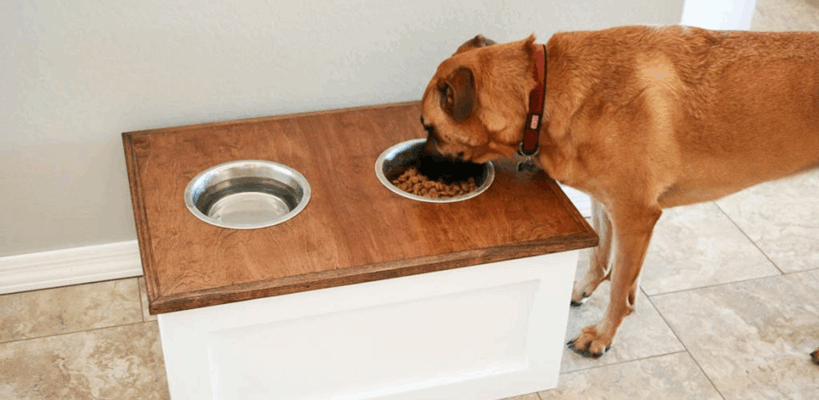 construire une station de nourriture pour chiens