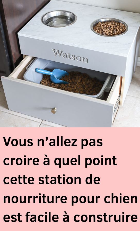 construire une station de nourriture pour chiens