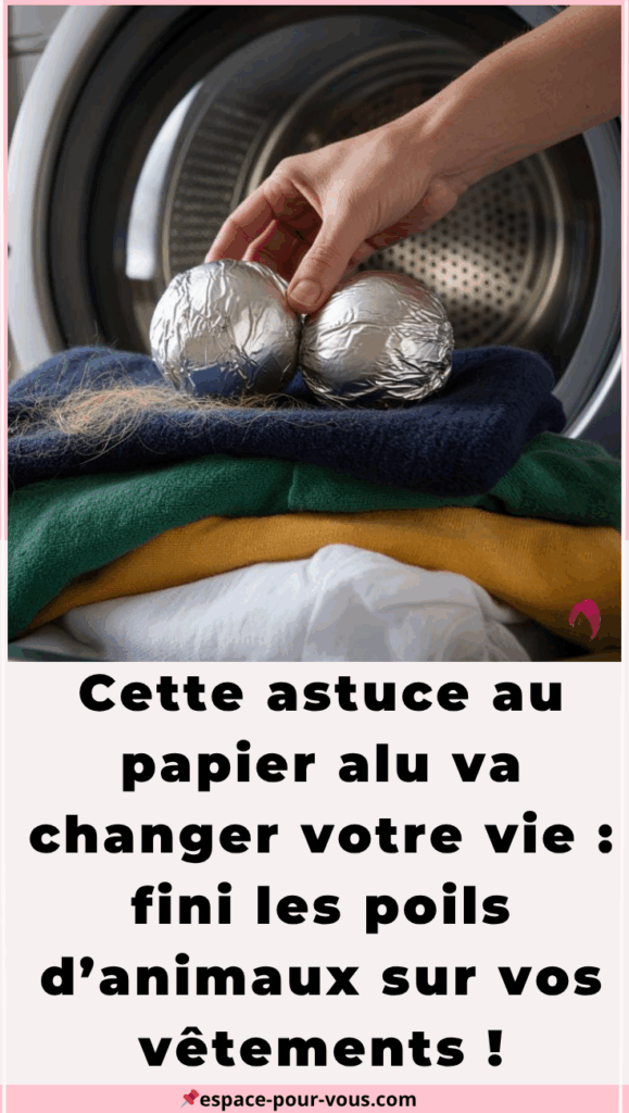 dire adieu aux poils d’animaux sur les vêtements