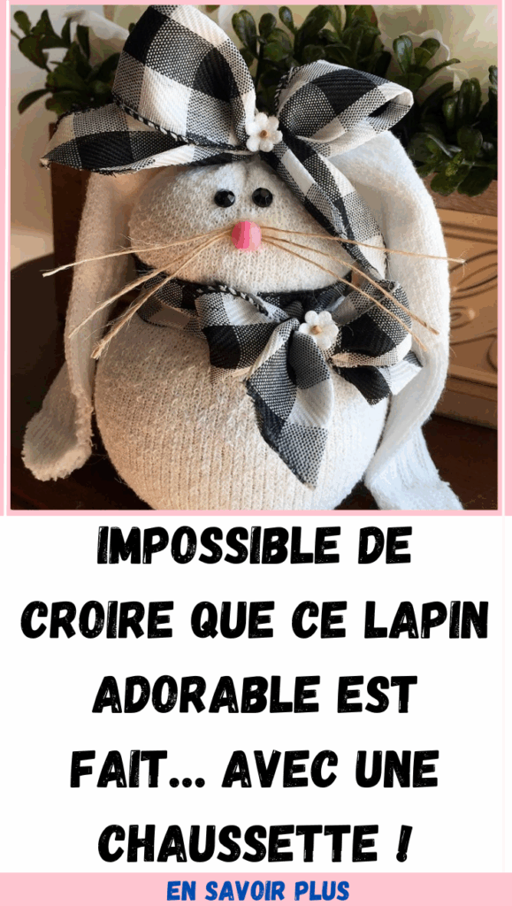 lapin en chaussettes