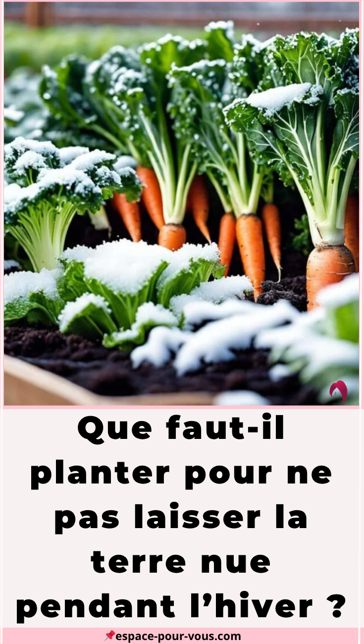 planter pendant l’hiver
