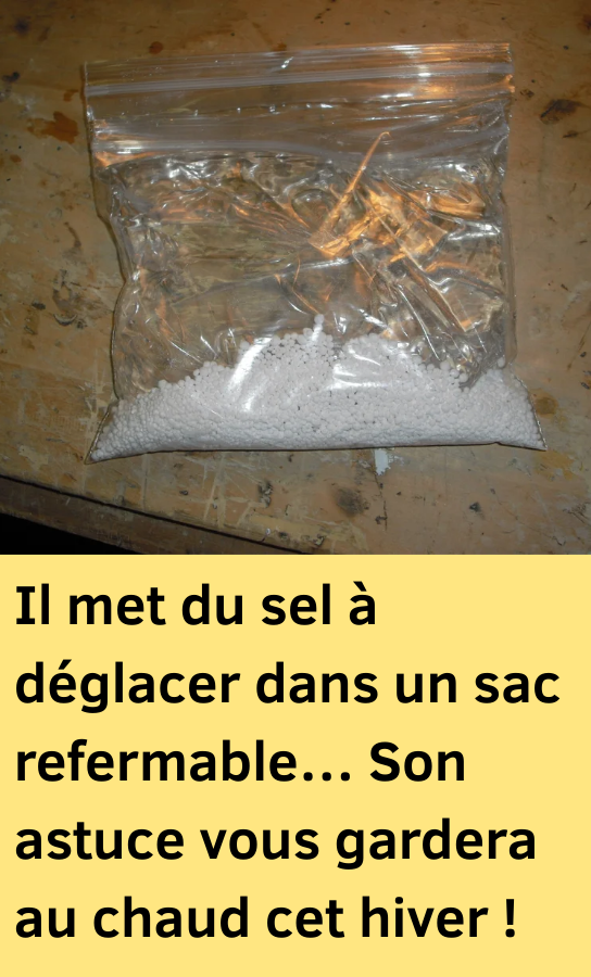 sel à déglacer dans un sac