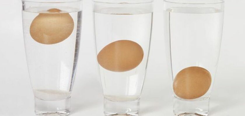 œuf est encore frais