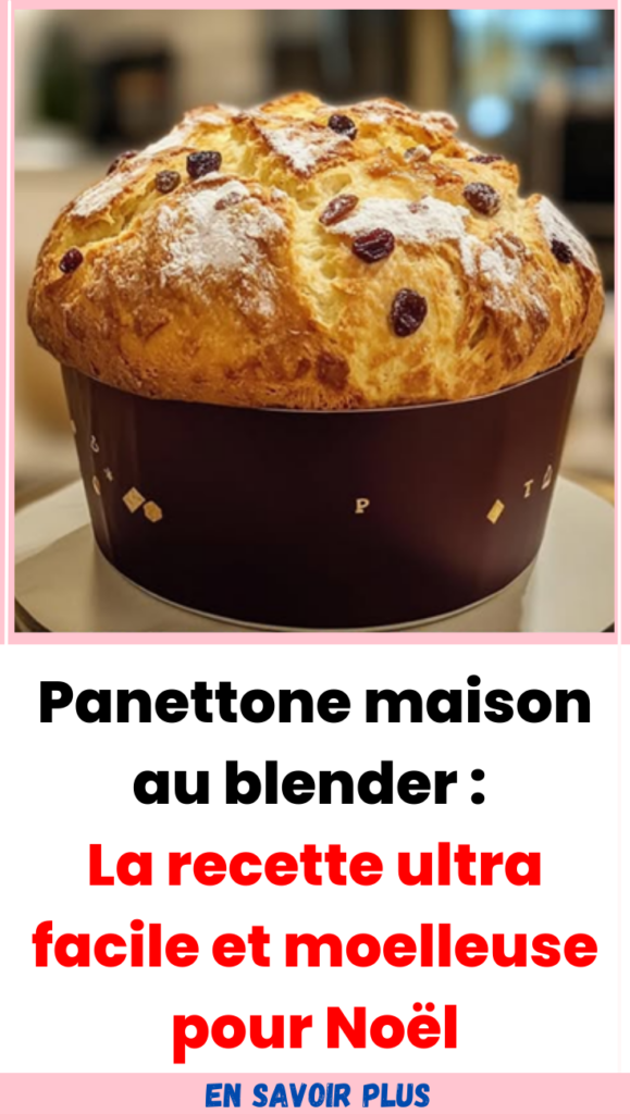 Panettone maison au blender