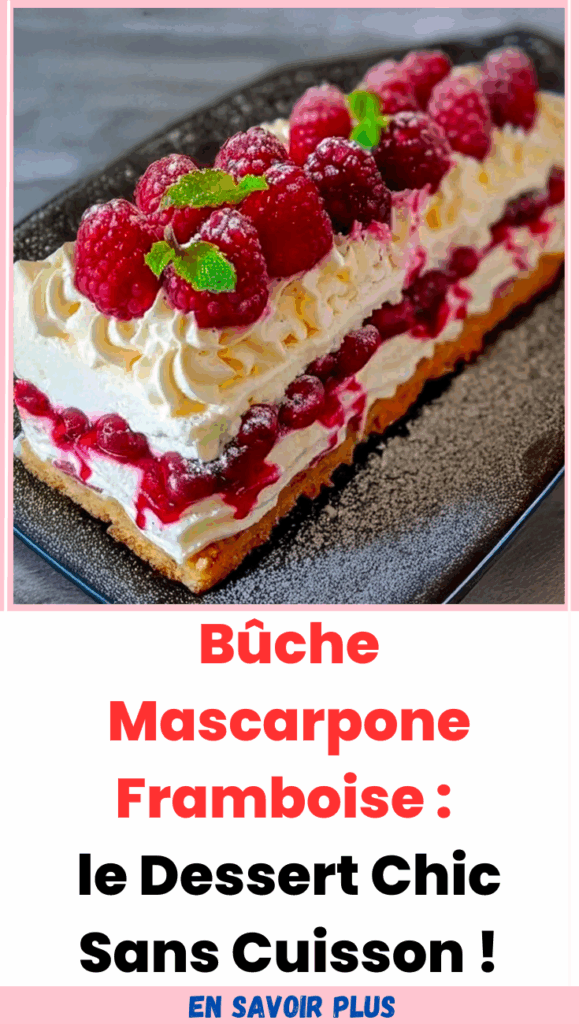 Bûche Mascarpone Framboise 