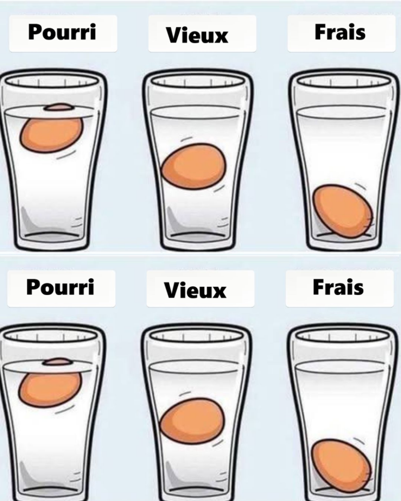 œuf est encore frais