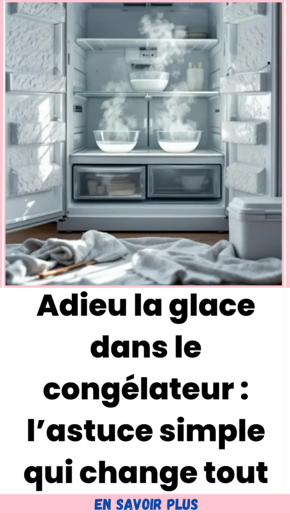 Adieu la glace dans le congélateur 