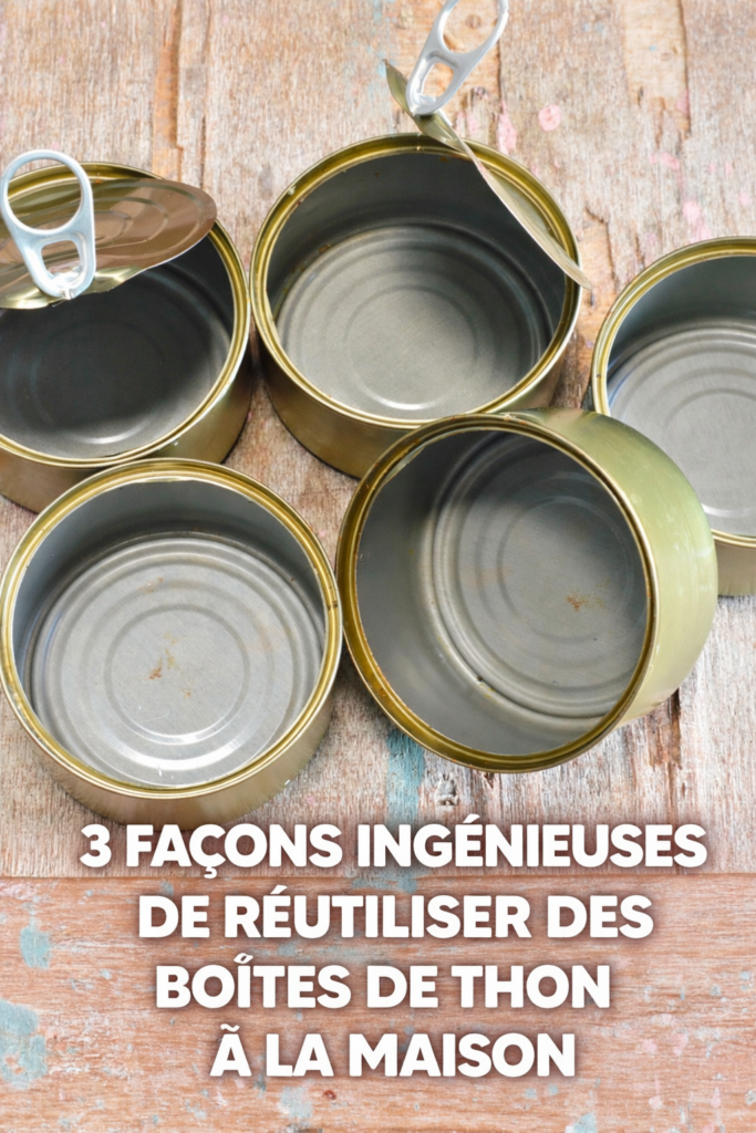 réutiliser des boîtes de thon à la maison