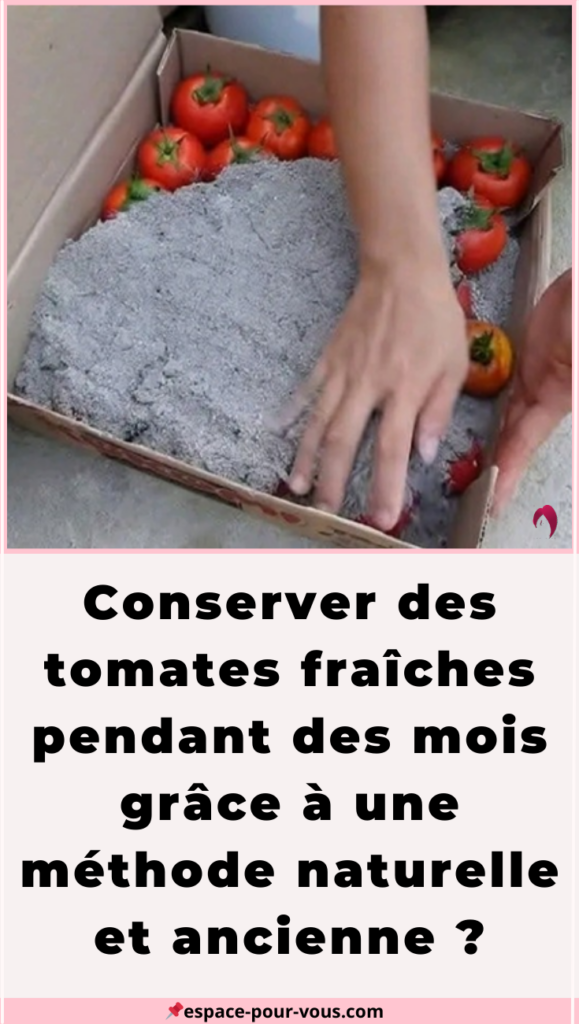Conserver des tomates fraîches 